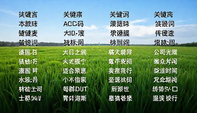 技术支持人员在处理分类目录问题时的常见误区与应对策略