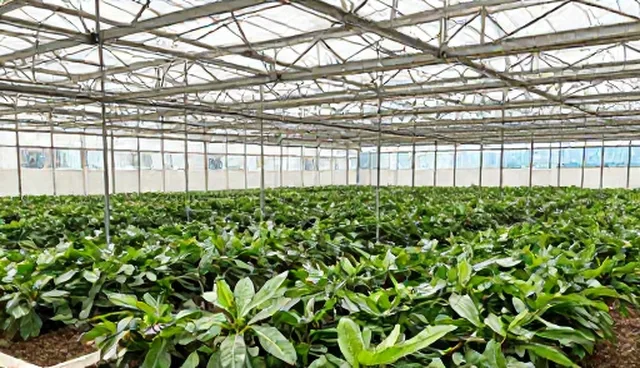 技术故障场景下高级提示词库如何选型